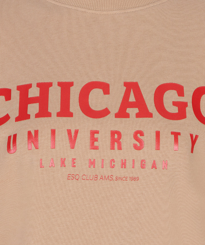 EsQualo Sand 'Chicago' Printed Sweater